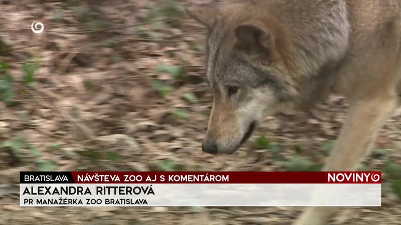 NÁVŠTEVA ZOO AJ S KOMENTÁROM