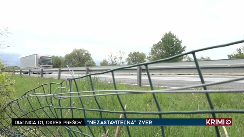 "NEZASTAVITEĽNÁ" ZVER