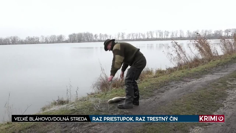 RAZ PRIESTUPOK, RAZ TRESTNÝ ČIN