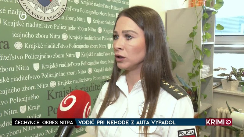 VODIČ PRI NEHODE Z AUTA VYPADOL