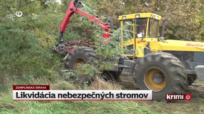Likvidácia nebezpečných stromov