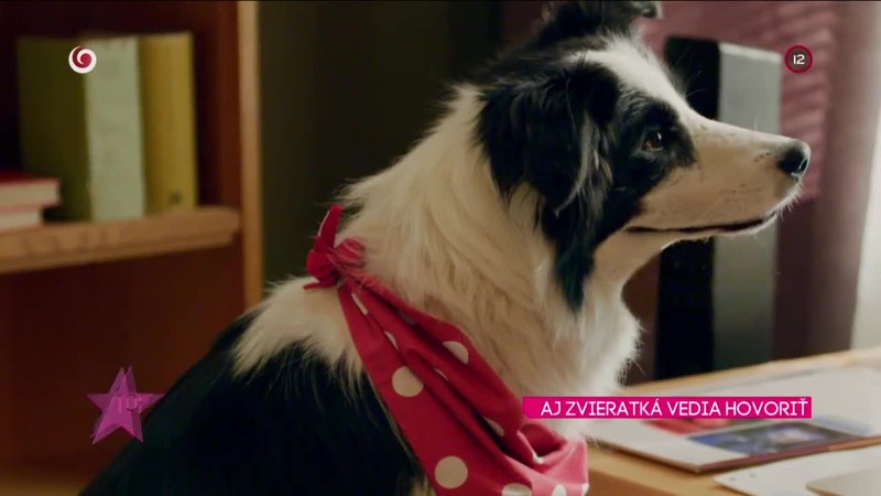 AJ ZVIERATKÁ VEDIA HOVORIŤ