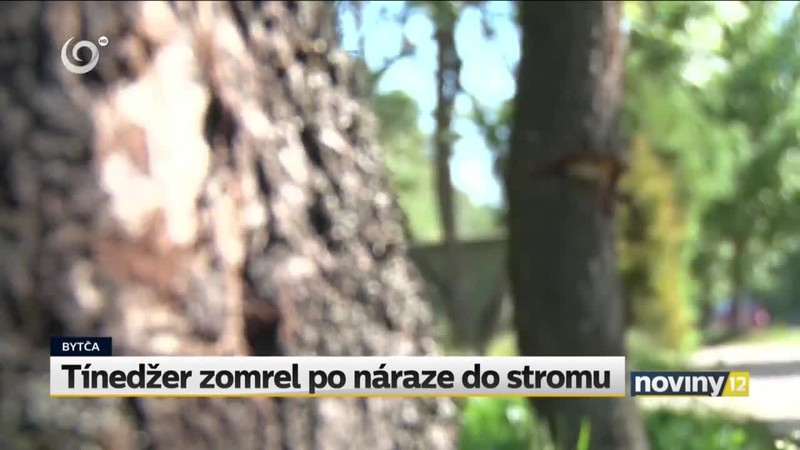 Tínedžer zomrel po náraze do stromu