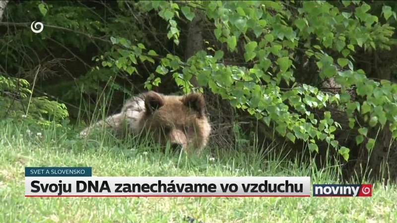 Svoju DNA zanechávame vo vzduchu