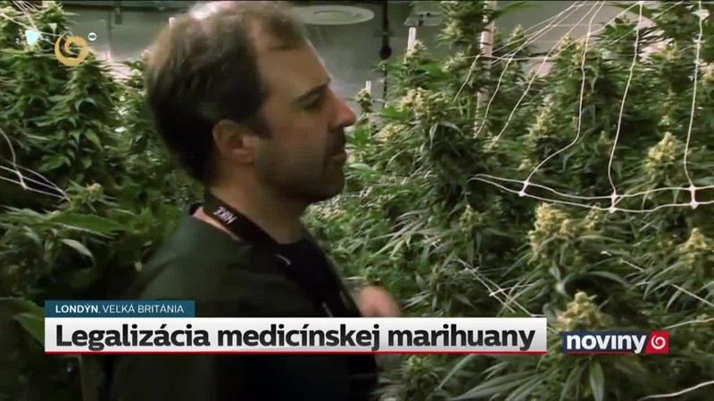 Legalizácia medicínskej marihuany