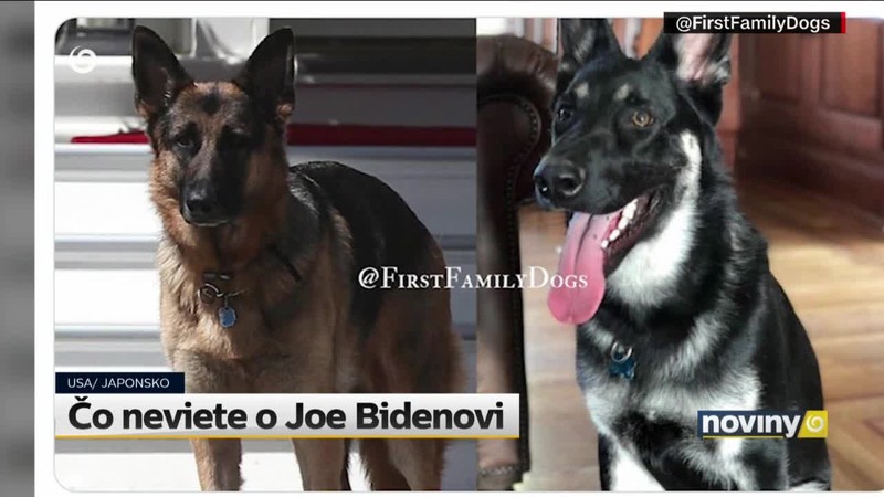 Čo neviete o Joe Bidenovi