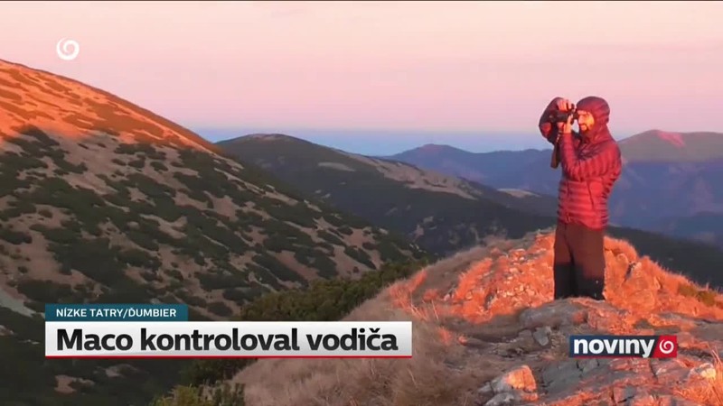 Maco kontroloval vodiča