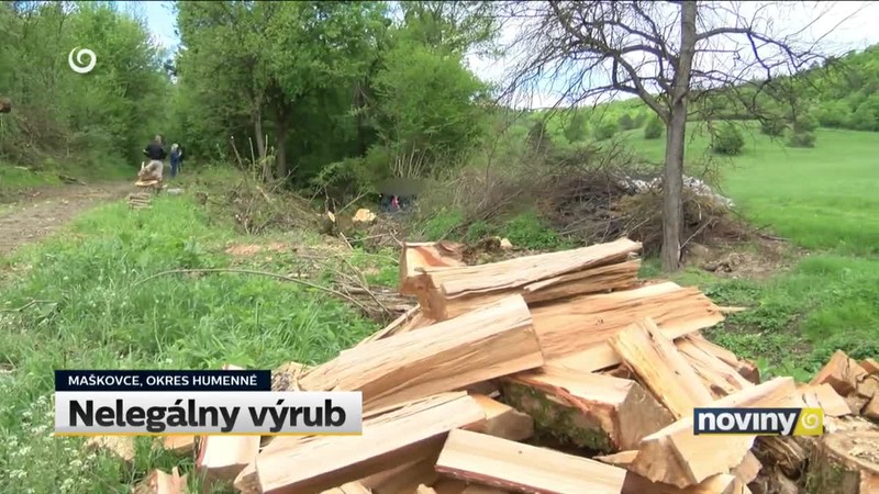Nelegálny výrub
