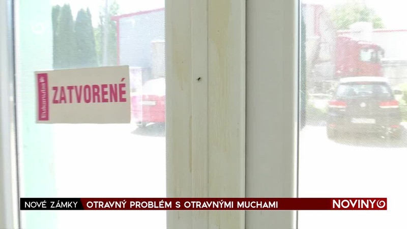 OTRAVNÝ PROBLÉM S OTRAVNÝMI MUCHAMI