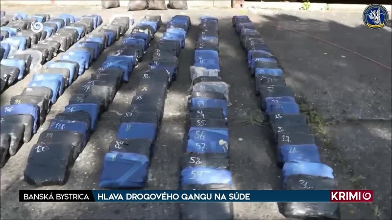 HLAVA DROGOVÉHO GANGU NA SÚDE