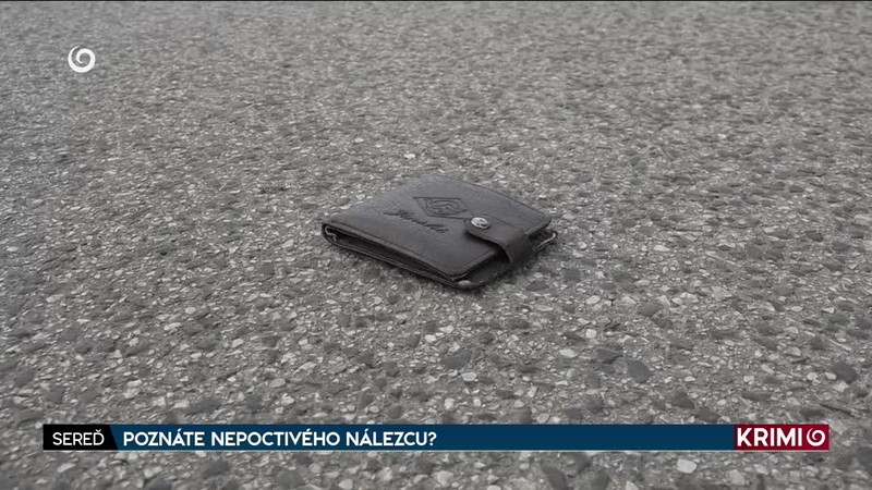 POZNÁTE NEPOCTIVÉHO NÁLEZCU?