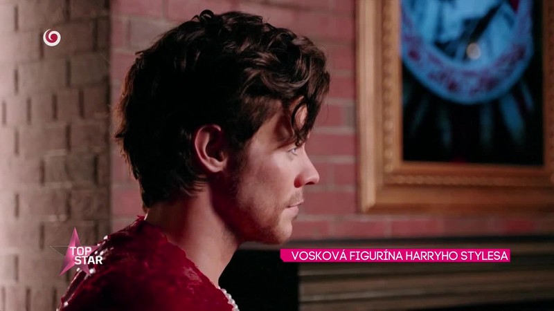 VOSKOVÁ FIGURÍNA HARRYHO STYLESA