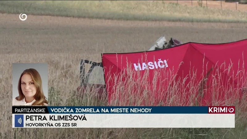 VODIČKA ZOMRELA NA MIESTE NEHODY