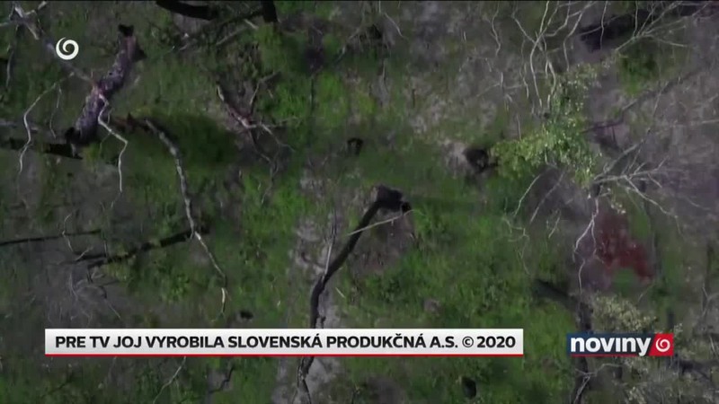 Stromy vysadia dronmi