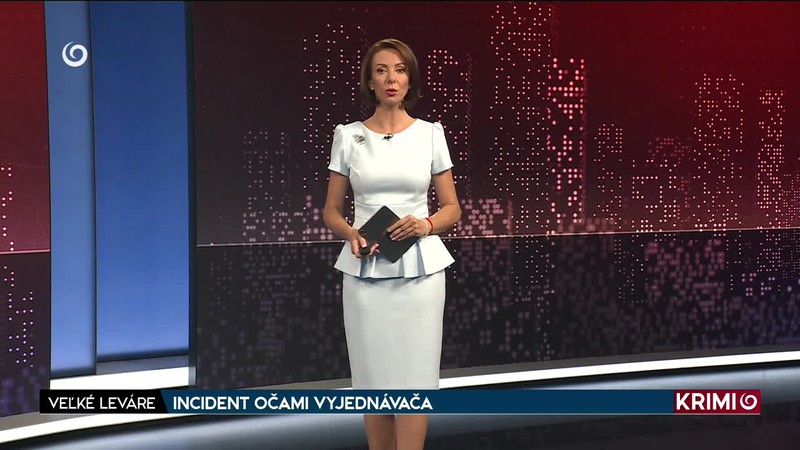 INCIDENT OČAMI VYJEDNÁVAČA