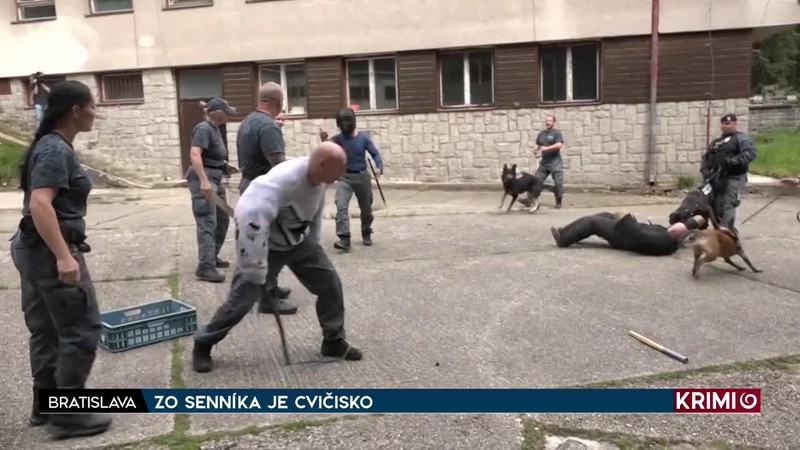 ZO SENNÍKA JE CVIČISKO