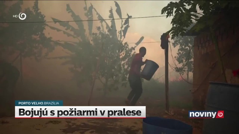 Bojujú s požiarmi v pralese