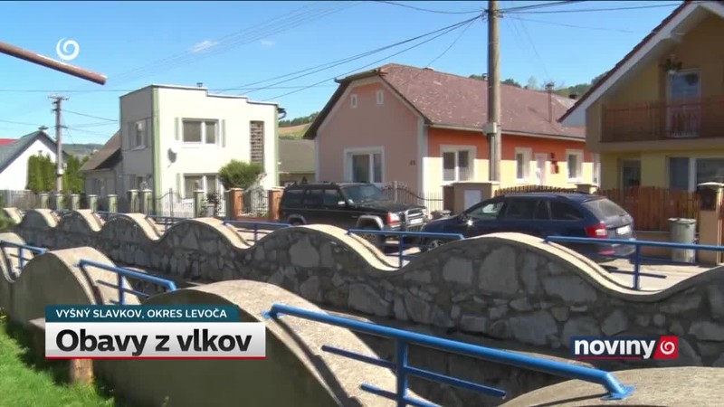 Obavy z vlkov