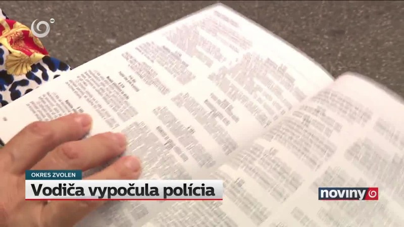 Vodiča vypočula polícia