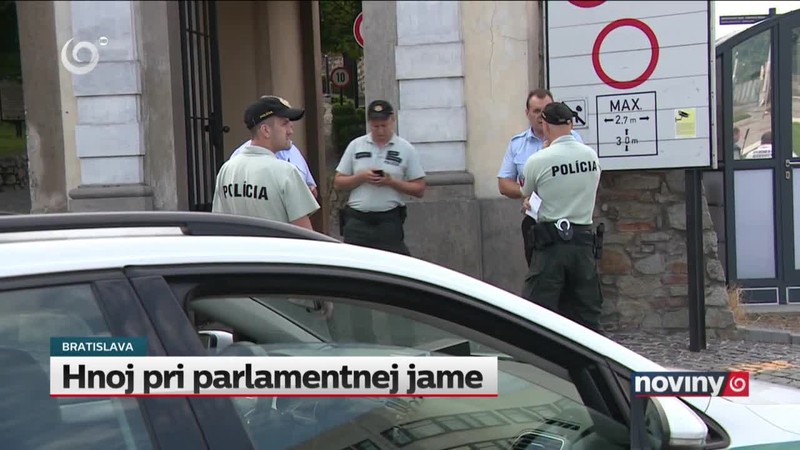 Hnoj pri parlamentnej jame