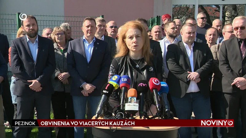 OBVINENIA VO VIACERÝCH KAUZÁCH
