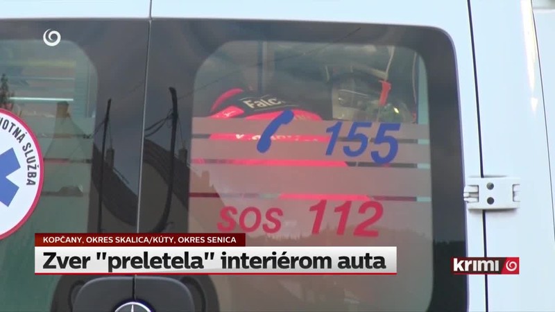 Zver "preletela" interiérom auta