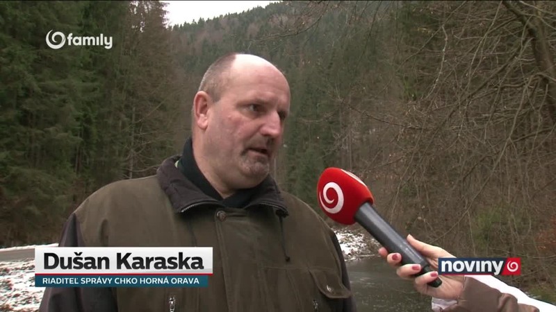 Rašelina nad zlato