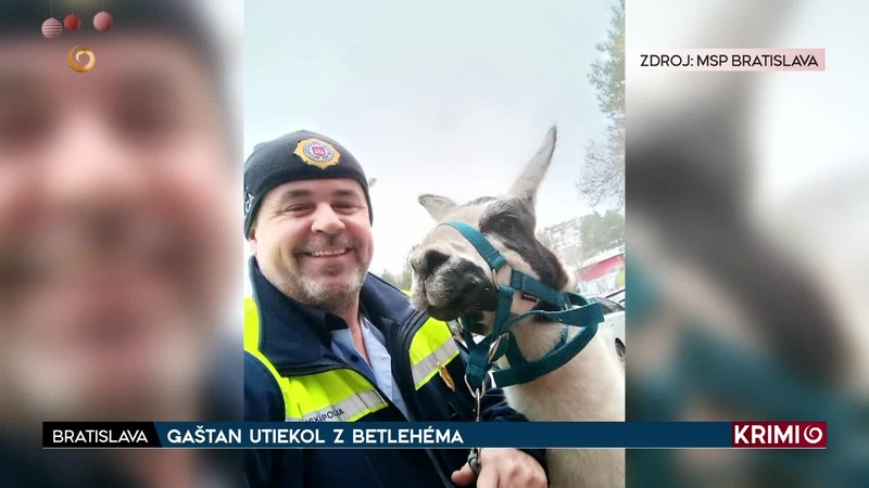 GAŠTAN UTIEKOL Z BETLEHÉMA