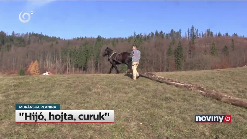 "Hijó, hojta, curuk"