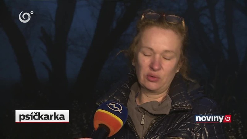 Pátranie po nezvestnej žene