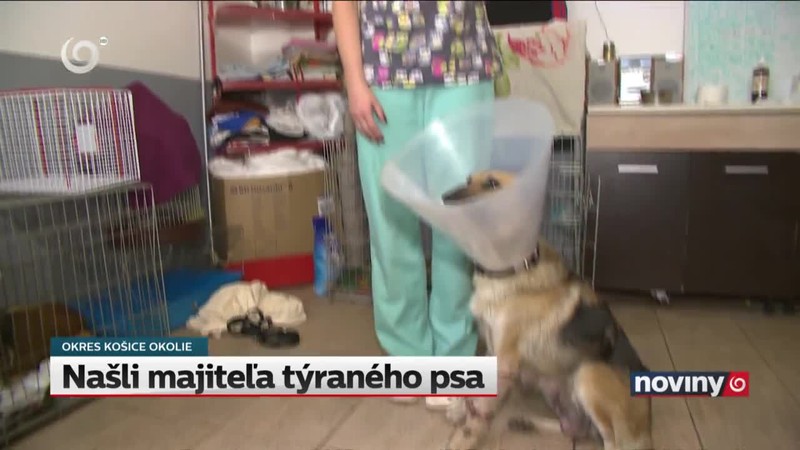 Našli majiteľa týraného psa