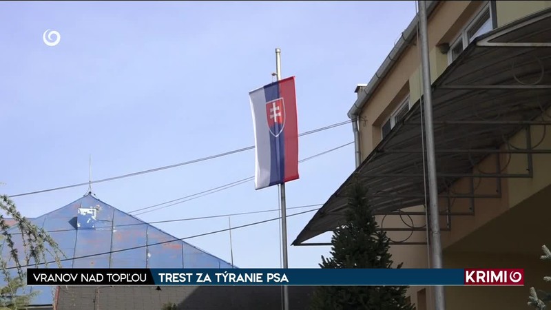 TREST ZA TÝRANIE PSA