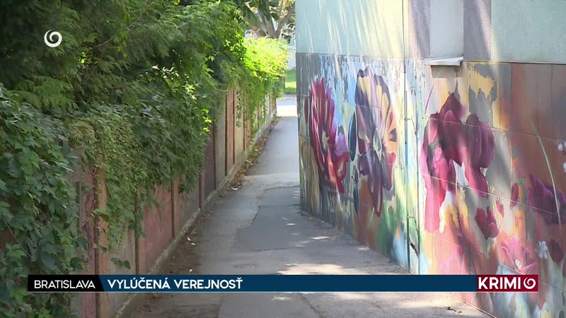 VYLÚČENÁ VEREJNOSŤ