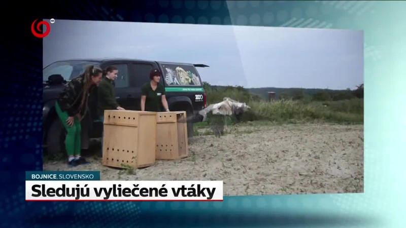 Rebeli použili drony ako zbrane