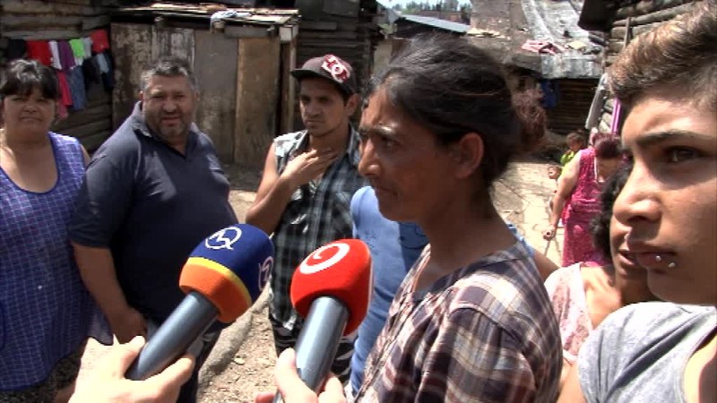 Osada pod Tatrami je plná divých psov