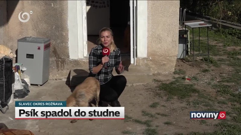 Psík spadol do studne