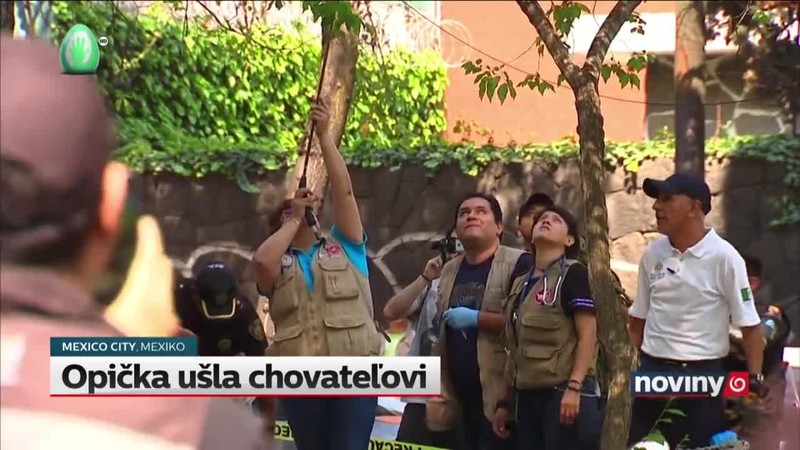 Opička ušla chovateľovi