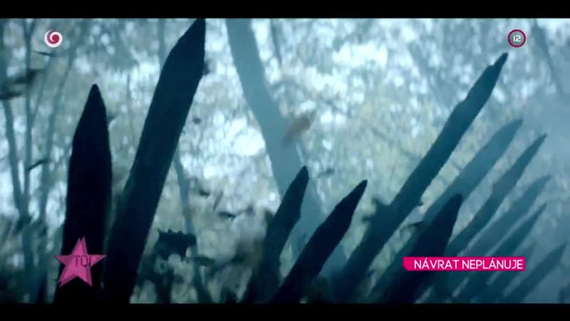 Kirschner NÁVRAT NEPLÁNUJE