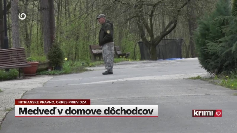 Medveď v domove dôchodcov