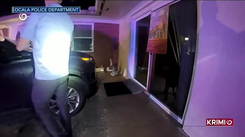 RAZIA V KREMATÓRIU