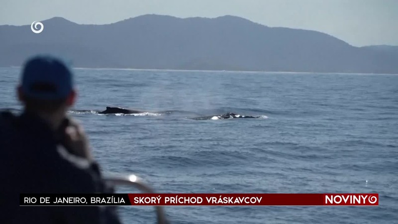 SKORÝ PRÍCHOD VRÁSKAVCOV