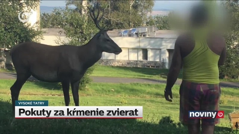 Pokuty za kŕmenie zvierat