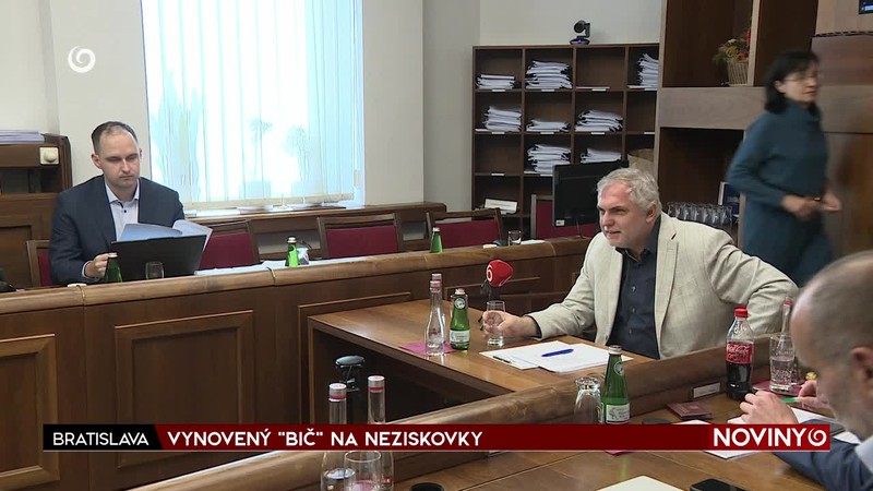 VYNOVENÝ "BIČ" NA NEZISKOVKY