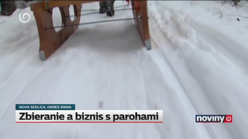 Zbieranie a biznis s parohami