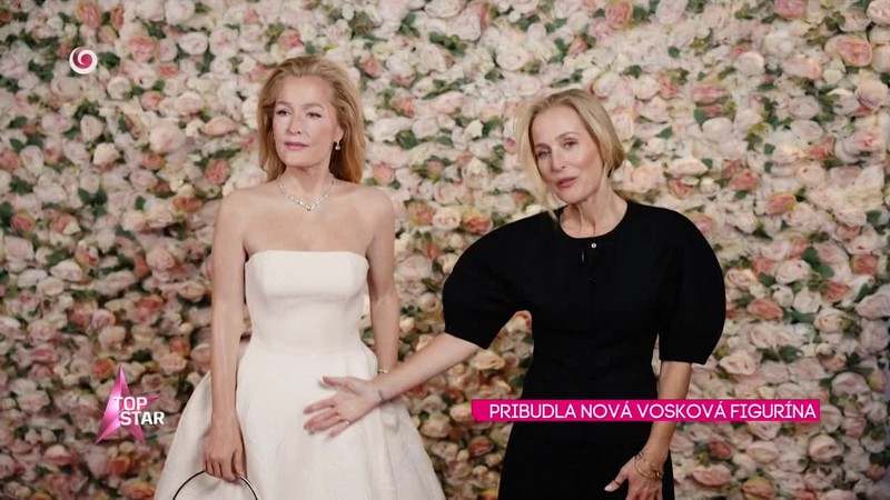 PRIBUDLA NOVÁ VOSKOVÁ FIGURÍNA