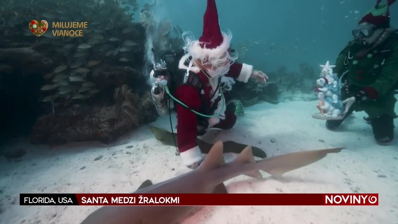 SANTA MEDZI ŽRALOKMI
