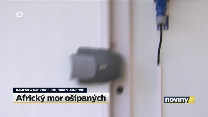 Africký mor ošípaných
