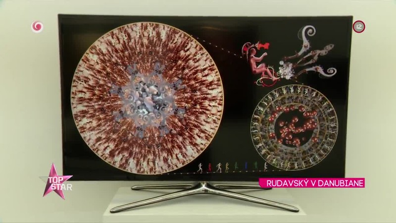 RUDAVSKÝ V DANUBIANE