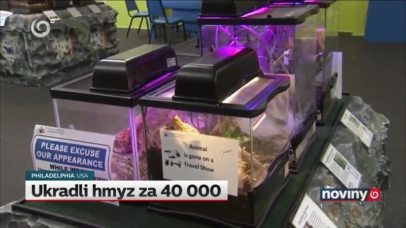 Ukradli hmyz za 40 000