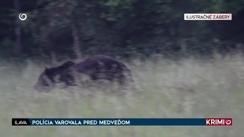 POLÍCIA VAROVALA PRED MEDVEĎOM